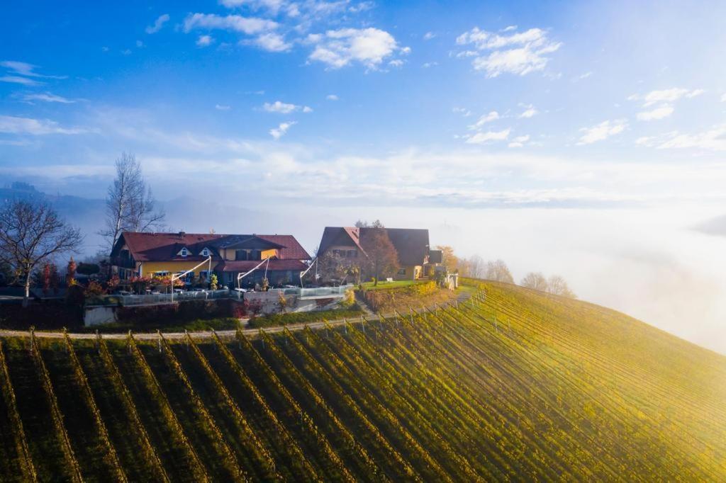 Готель Weingut Essgut Schlafgut Sabathihof-Dillinger Гланц-ан-дер-Вайнштрассе Екстер'єр фото